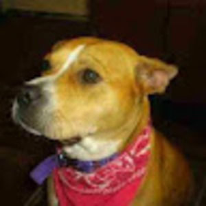 Meet your Posher, Mahdi